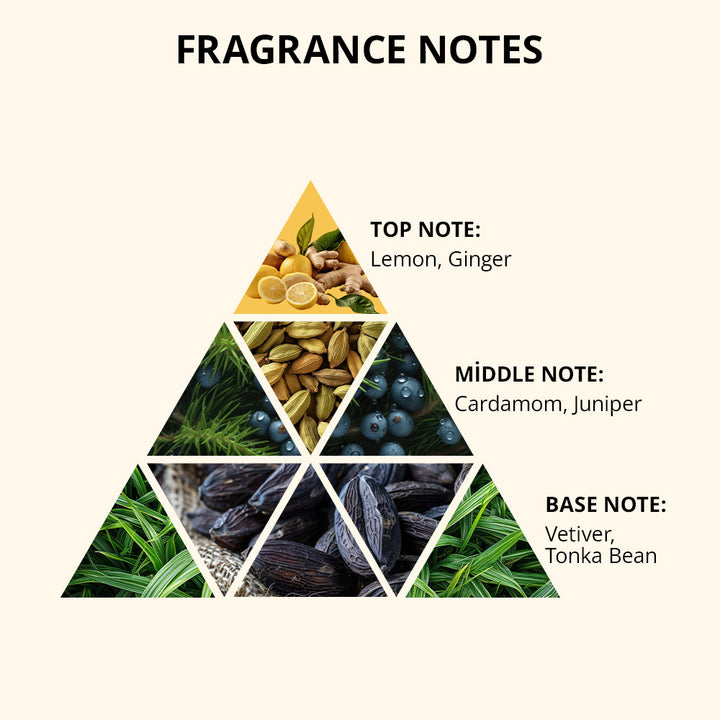 Condenser Shampoo