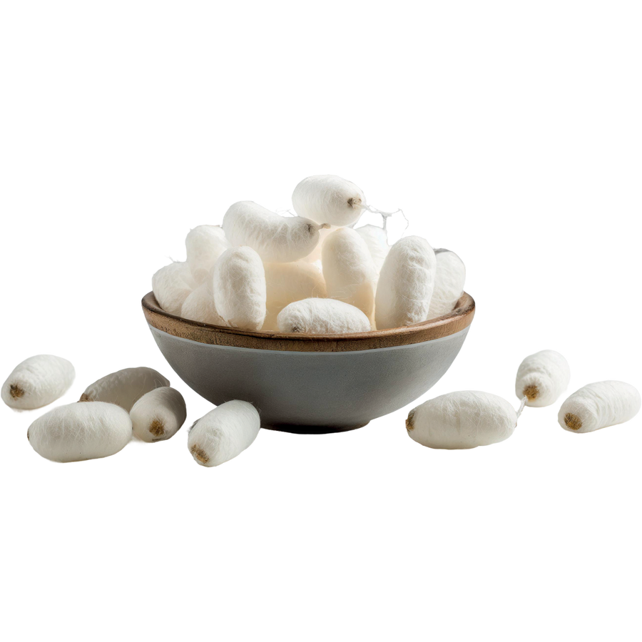 Silk Protein